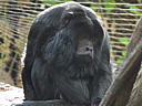 dscn0165.jpg