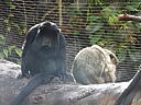 dscn0166.jpg