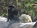 dscn0167.jpg