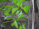 dscn0168.jpg