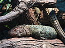 dscn0169.jpg