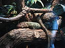 dscn0170.jpg