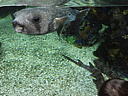 dscn0174.jpg