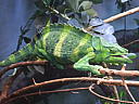 dscn0178.jpg