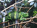 dscn0180.jpg
