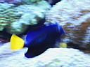 dscn0181.jpg
