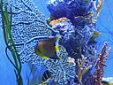 dscn0182.jpg