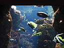 dscn0183.jpg