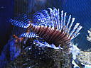 dscn0184.jpg