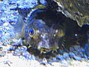 dscn0185.jpg