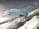 dscn0186.jpg
