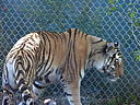 dscn0220.jpg