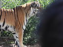 dscn0221.jpg