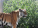 dscn0222.jpg