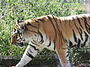 dscn0223.jpg