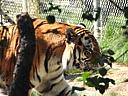 dscn0224.jpg
