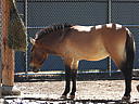 dscn0230.jpg