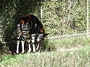 dscn0233.jpg