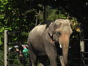 dscn0236.jpg