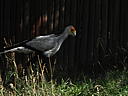 dscn0237.jpg