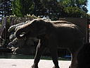 dscn0239.jpg