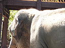 dscn0240.jpg