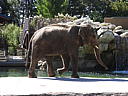 dscn0241.jpg