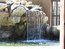 dscn0243.jpg