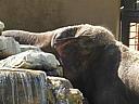 dscn0244.jpg