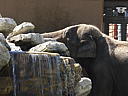 dscn0245.jpg
