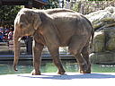 dscn0248.jpg