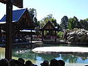 dscn0249.jpg