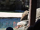 dscn0250.jpg