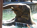 dscn0251.jpg