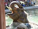 dscn0252.jpg