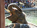 dscn0253.jpg