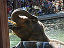 dscn0254.jpg