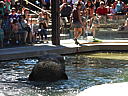 dscn0256.jpg