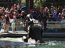 dscn0257.jpg