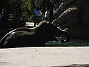 dscn0258.jpg