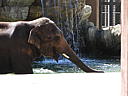 dscn0259.jpg