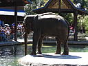 dscn0260.jpg