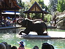 dscn0262.jpg