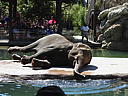 dscn0264.jpg