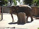 dscn0265.jpg