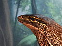 dscn0268.jpg