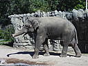 dscn0270.jpg