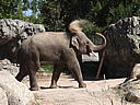 dscn0271.jpg