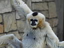 dscn0274.jpg