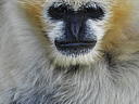 dscn0275.jpg